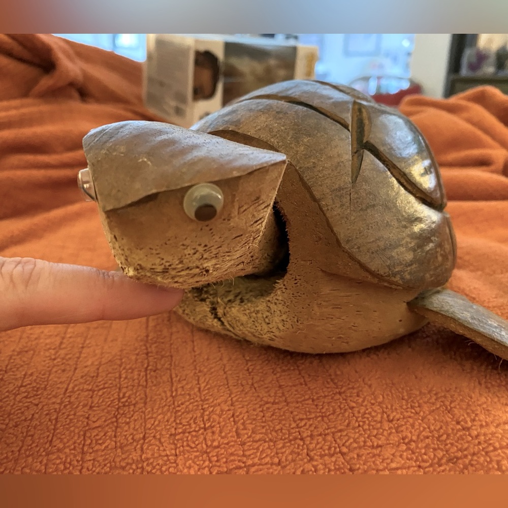 Coconut Turtle Art